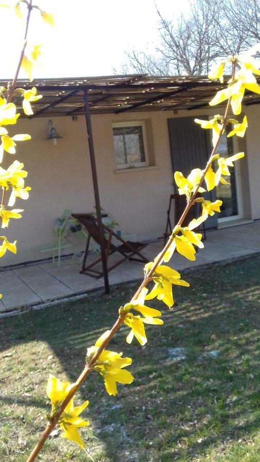 Le Marronnier Apartamento Niozelles Exterior foto