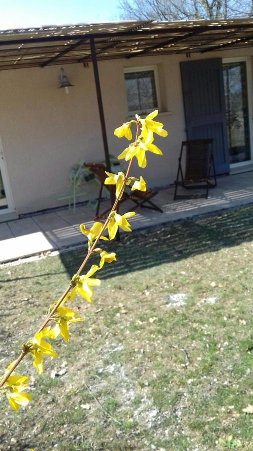 Le Marronnier Apartamento Niozelles Exterior foto