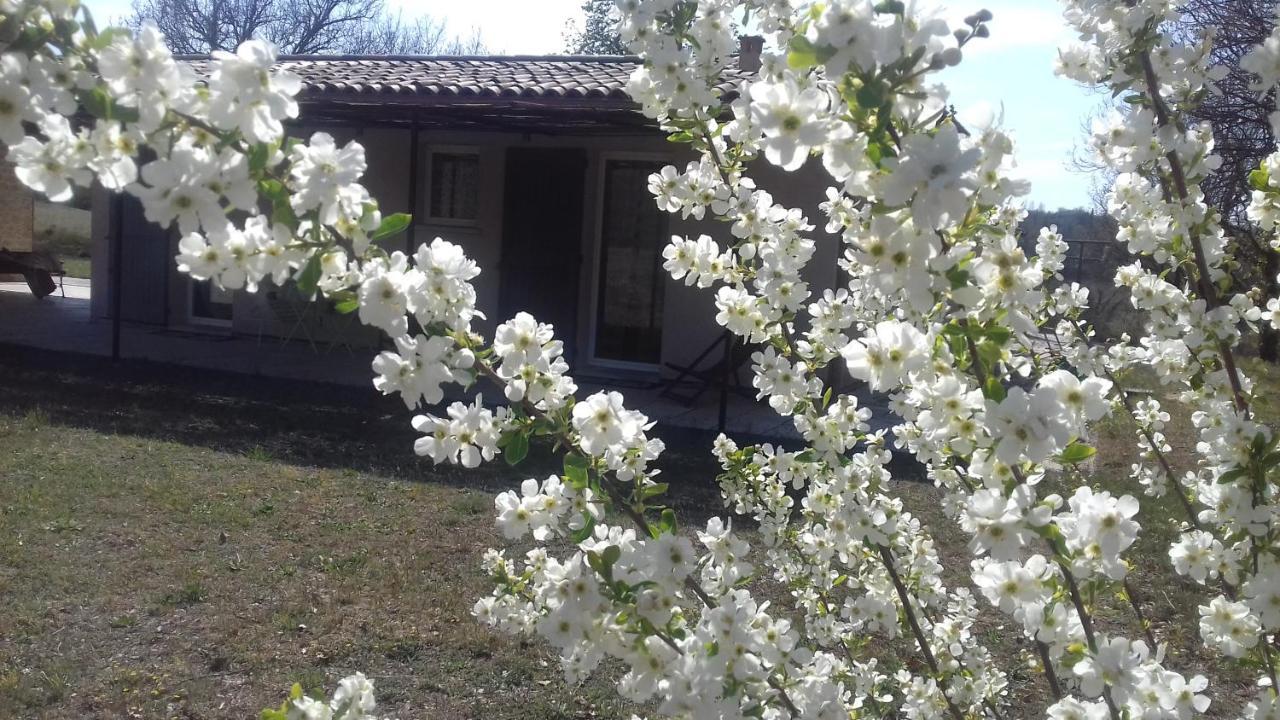 Le Marronnier Apartamento Niozelles Exterior foto